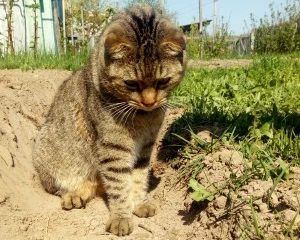 курсы Фомина Дарья Сергеевна