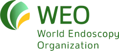 Всемирная эндоскопическая организация (WEO)